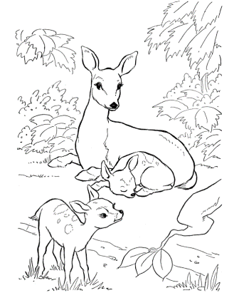 dibujo de bambi